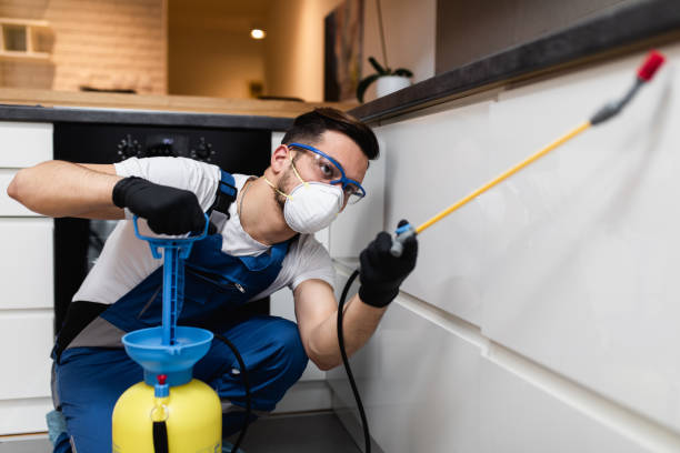 Best Flea Control Services  in Patterson, CA