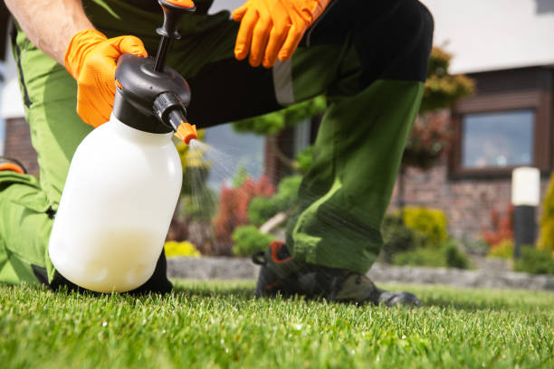 Best Wildlife Control Services  in Patterson, CA