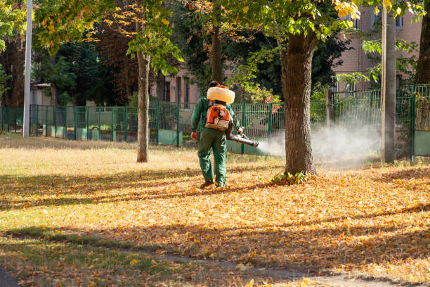 Professional Pest Control in Patterson, CA
