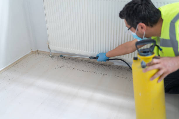 Best Pest Removal Services  in Patterson, CA